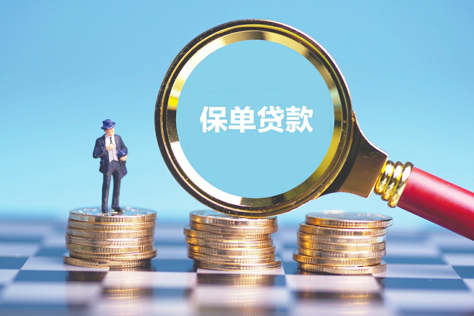 东莞11小额贷款申请与利率解析：让借款更轻松。